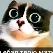 OBED