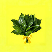 求AK枪枪爆头教程