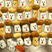 🍄🍄🍄worker🍄🍄🍄