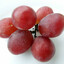 like 6 grapes