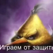 тубзик(prime)