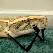 душный змей