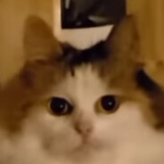 我要开始说谎了