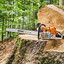 STIHL MS 881