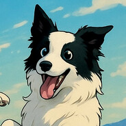 Dances with Border Collies