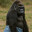 Bgames_Photo