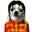 micao jackson skins