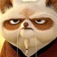 Master Shifu