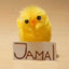 Jamal