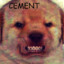 sam