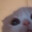 EYES