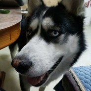 赵某人天下第一