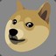 OLD Doggie