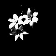 крамблКУНИ