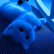 ♥𝐵𝑜𝑠𝑠♥ yooma.su