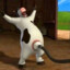 cow