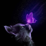 Nayla Steam avatar