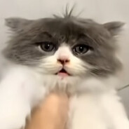 LTIODS