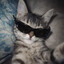 Rouky_