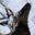 bingledangle26 avatar