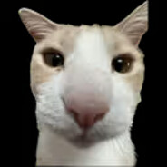 Warner-_- - steam id 76561199494742053