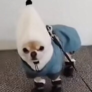 IO :) - steam id 76561199142713663