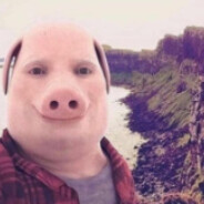 Dr. Pork