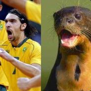 homem passaro - guardiao da torr