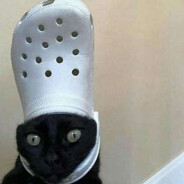 一土它小月半子