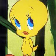 vou-te partir no meio wi