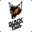 |DKG|Black_Fox