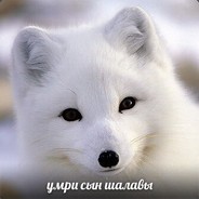 ебала офне пидар