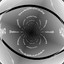 DarkShine | csgobig.com