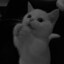 Kitcexo
