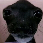 xevis - steam id 76561199046716306