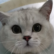 Big Avatar