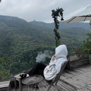 партизанка