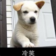 开场九人屏蔽，别找我。