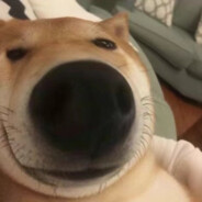 翻斗花园牛_爷爷