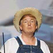 Donald J Trump