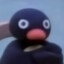 Pingu