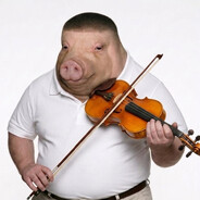 Violinist Pig avatar