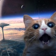 Обкуренный-_-К_о_т