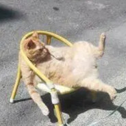 别往巢里丢轨道火！