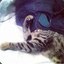 EVILZOR-