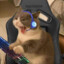 TOIN TOINK