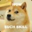 SkillDoge