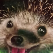Icy 's avatar