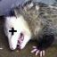 Opossum_Slayer