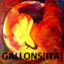 Gallons (ITA)